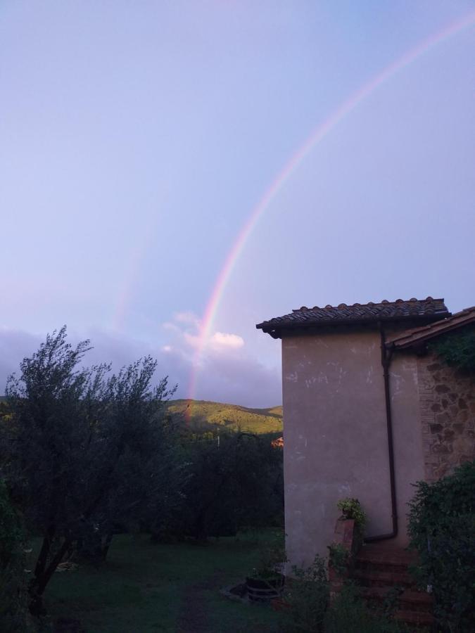 Casa Vacanze Porta Vecchia Montalcino Dış mekan fotoğraf