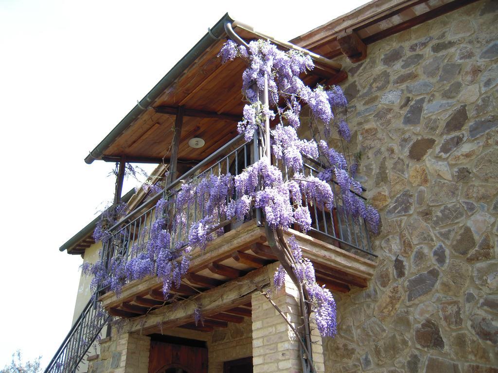 Casa Vacanze Porta Vecchia Montalcino Dış mekan fotoğraf