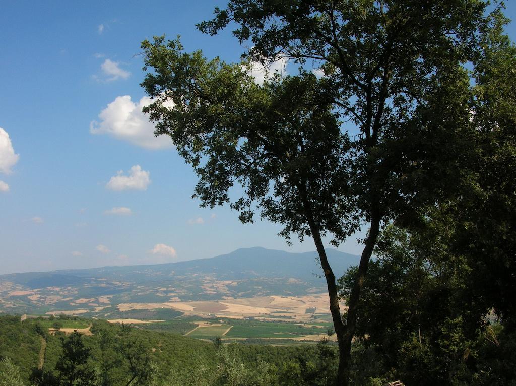 Casa Vacanze Porta Vecchia Montalcino Oda fotoğraf