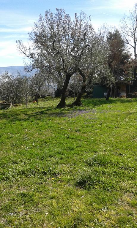 Casa Vacanze Porta Vecchia Montalcino Dış mekan fotoğraf