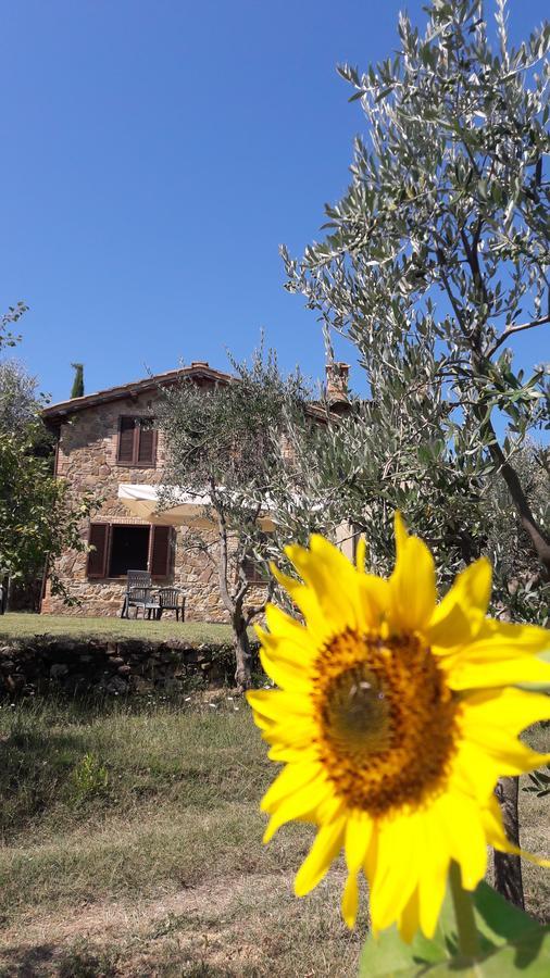Casa Vacanze Porta Vecchia Montalcino Dış mekan fotoğraf