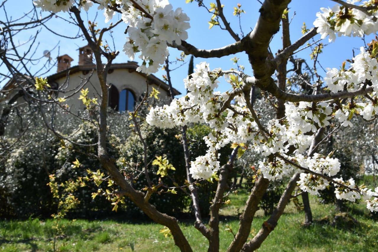 Casa Vacanze Porta Vecchia Montalcino Dış mekan fotoğraf