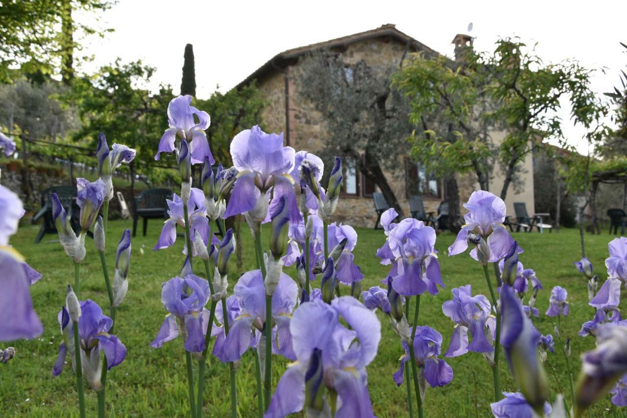 Casa Vacanze Porta Vecchia Montalcino Dış mekan fotoğraf